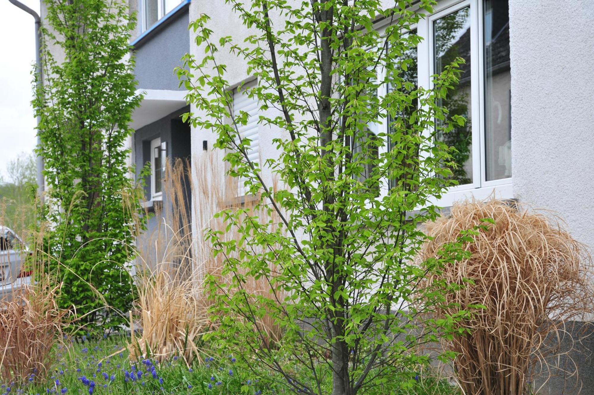 Ferienwohnung Noviomagus Neumagen-Dhron Exterior foto
